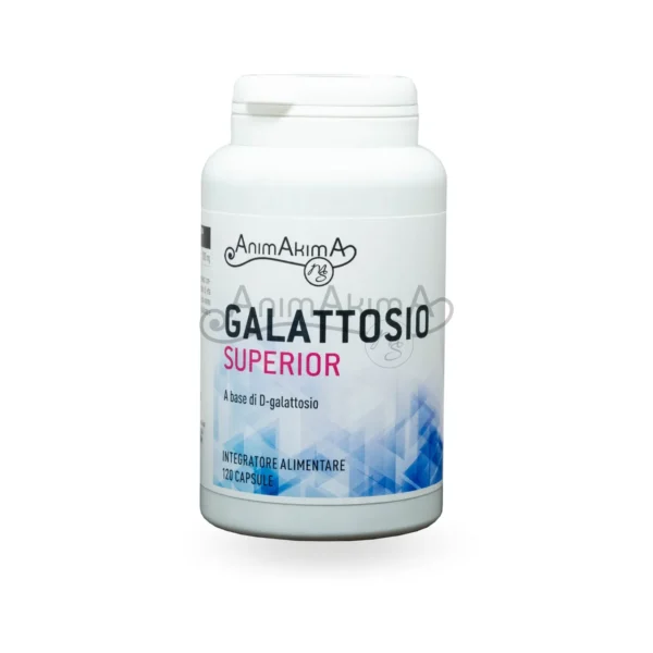 GALATTOSIO SUPERIOR